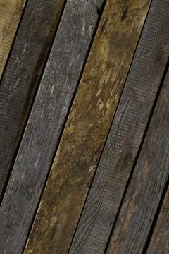 Old, raw boards arranged in a row. Stock Photos