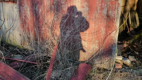 Old Red Barn Fallen Stock Photos