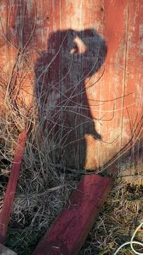 Old Red Barn Fallen Foto stock