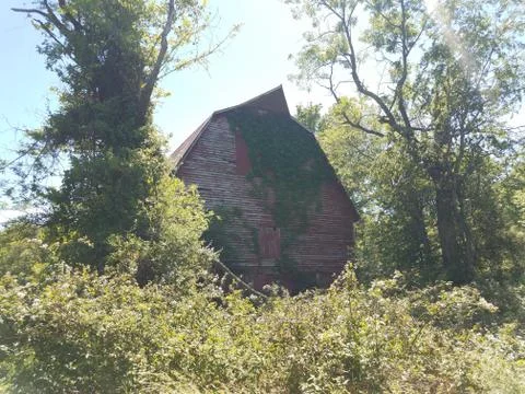 Old red barn with grass and trees Stock Photos