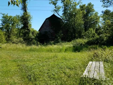 Old red barn with grass and trees and wood bench Stock Photos