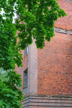 Old red brick building through green maple Stock Photos
