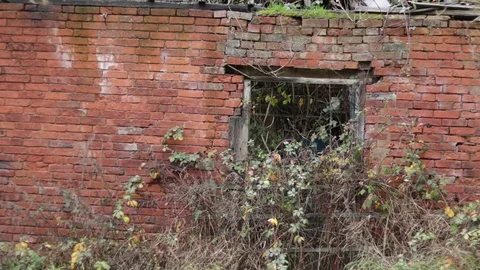 Old Red Brick Derelict Dairy Barn, Wood Lintel Doorway, Brambles Growing. Stock Footage 100848846