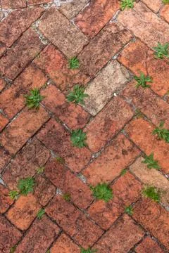 Old red brick herringbone Stock Photos