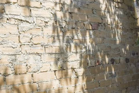Old red brick wall background with tree shadows Stock-Fotos