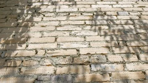 Old red brick wall background with tree shadows Stock-Fotos