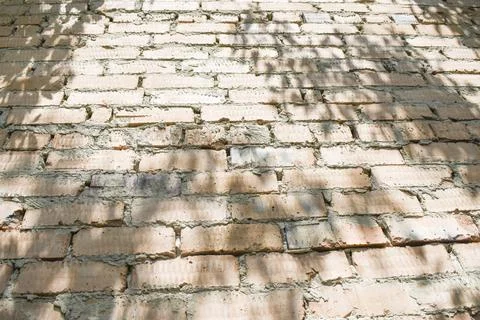 Old red brick wall background with tree shadows Stock Photos