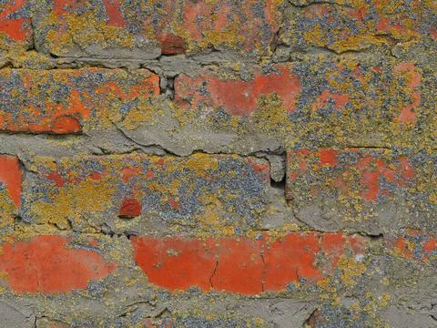 Old red brick wall close up Foto stock