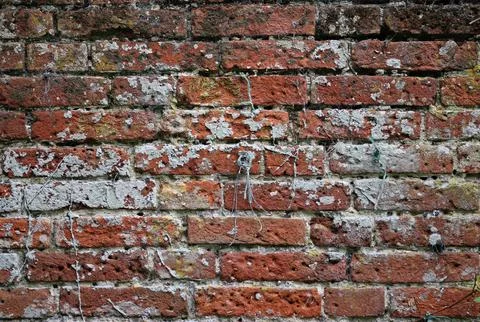 Old red brick wall in close up Stock Photos