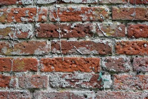 Old red brick wall in close up Stock Photos