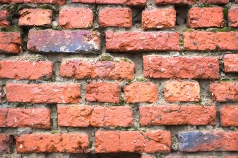 The old red brick wall Fotos de archivo