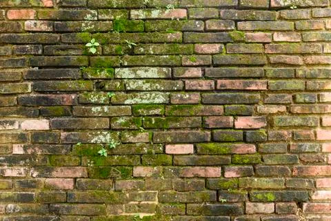 Old red brick wall Stock Photos