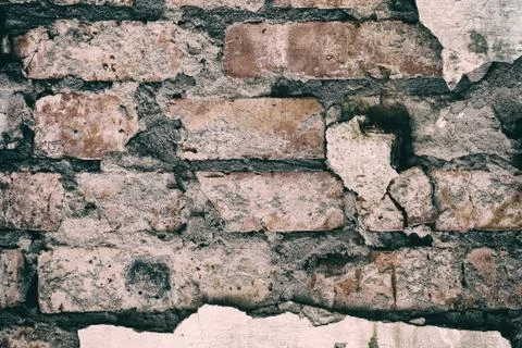 Old red brick wall with plaster Stock-Fotos