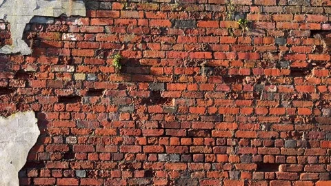 Old red brick wall on a sunset- texture video Stock Footage 231054224