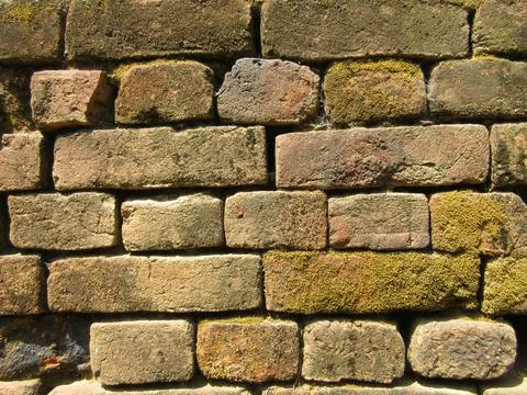 Old red brick wall texture background with moss and dirt Stock Photos