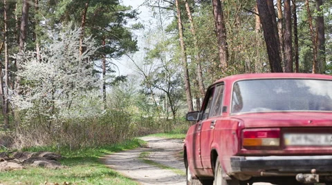 Old red car rides through a dirt road in the forest. Video stock 62452002