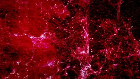 Old red cobwebs texture Stock Photos