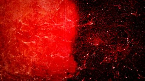 Old red cobwebs texture Stock Photos