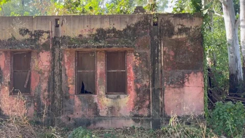 Old red color building Stock Footage 322938712