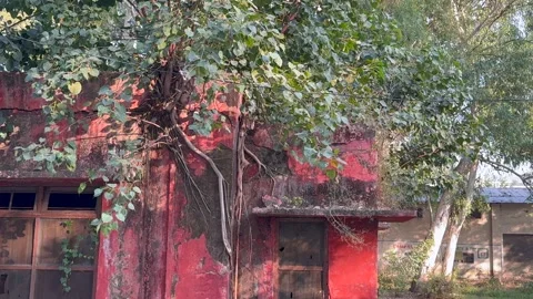 Old red color building 스톡 동영상 322939171