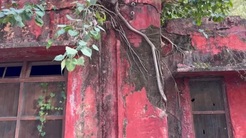 Old red color building 스톡 동영상 322939227