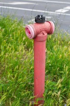 Old red fire hydrant stands in the grass on the side of the road. Stock Photos