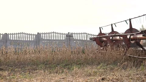 Old red machine harvesting on big yellow field. Harvester combine collects soy Stock Footage 219413978