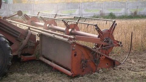 Old red machine harvesting on big yellow field. Harvester combine collects soy Stock Footage 219414009