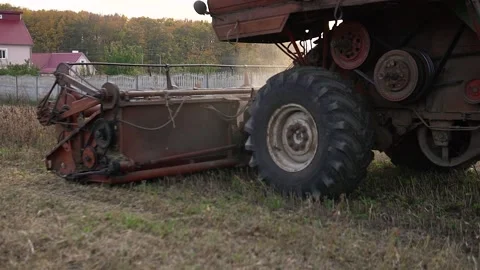 Old red machine harvesting on big yellow field. Harvester combine collects soy Stock Footage 219414058