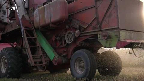 Old red machine harvesting on big yellow field. Harvester combine collects soy Stock Footage 219420974