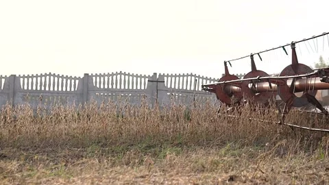 Old red machine harvesting on big yellow field. Harvester combine collects soy Stock Footage 219420982