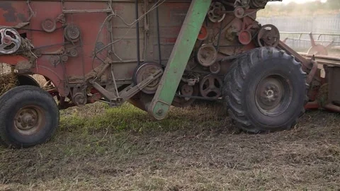 Old red machine harvesting on big yellow field. Harvester combine collects soy Stock Footage 219420988