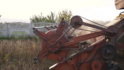 Old red machine harvesting on big yellow field. Harvester combine collects soy Stock Footage 219575374