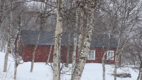 Old red scandinavian barn in snow storm with birches in the foreground Stock Footage 238520135