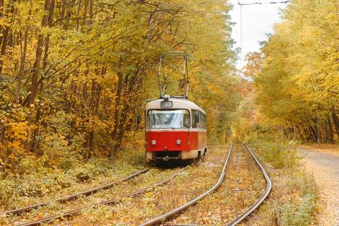 Old red tram moving through yellow autumn deciduous forest, fall landscape,.. Stock Photos