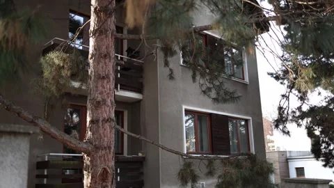 Old residential building partially hidden by pine trees. Closed shutters, empty  Stock Footage 304885390