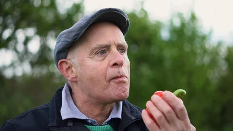 Old Retired Man Eating Healthy Bell Pepper Snack in Nature Scenery Stock Footage 113083363
