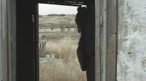 Old rez house window then camera pull Stock Footage 40334735