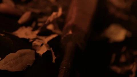 Old riffle with lantern light Video stock 102288085