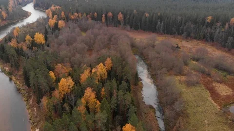 Old river in autumn Stock Footage 100788889