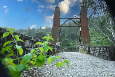 Old river bridge front view with golden sky , greenery Stock Photos