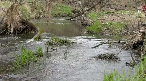 Old river Stock Footage 742889