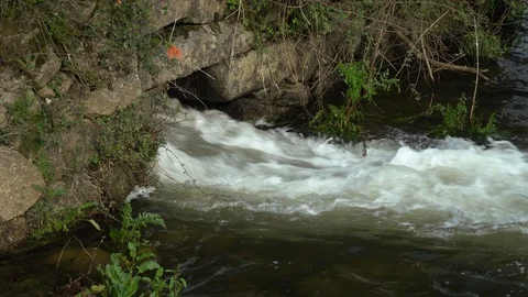 Old River mill detail Видео 107905677