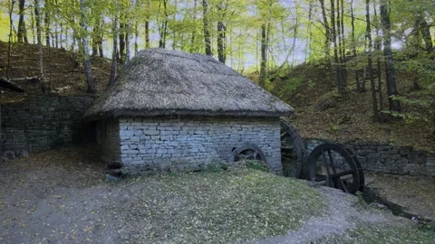 Old river mill in woods Stock Footage 163090322