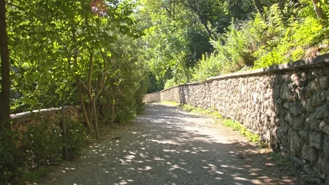 The old road and the stone wall. Stock Footage 80423708