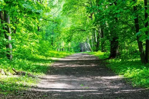 Old road in the back of the park Stock Photos