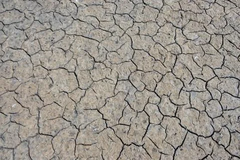 Old road background - surface of grey cracked asphalt texture close up Stock Photos