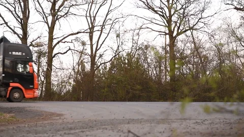 Old road in the forest Stock Footage 128453134