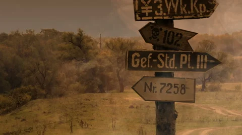 Old road with German pointers Stock Footage 54564341