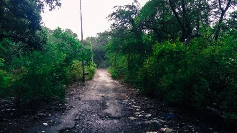 Old road Foto stock